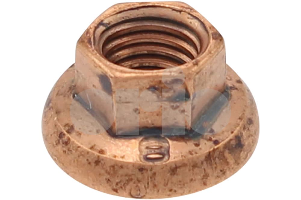 Nut-1