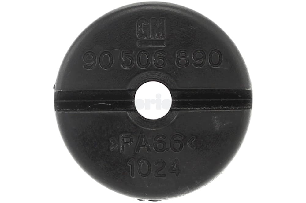 Nut-1