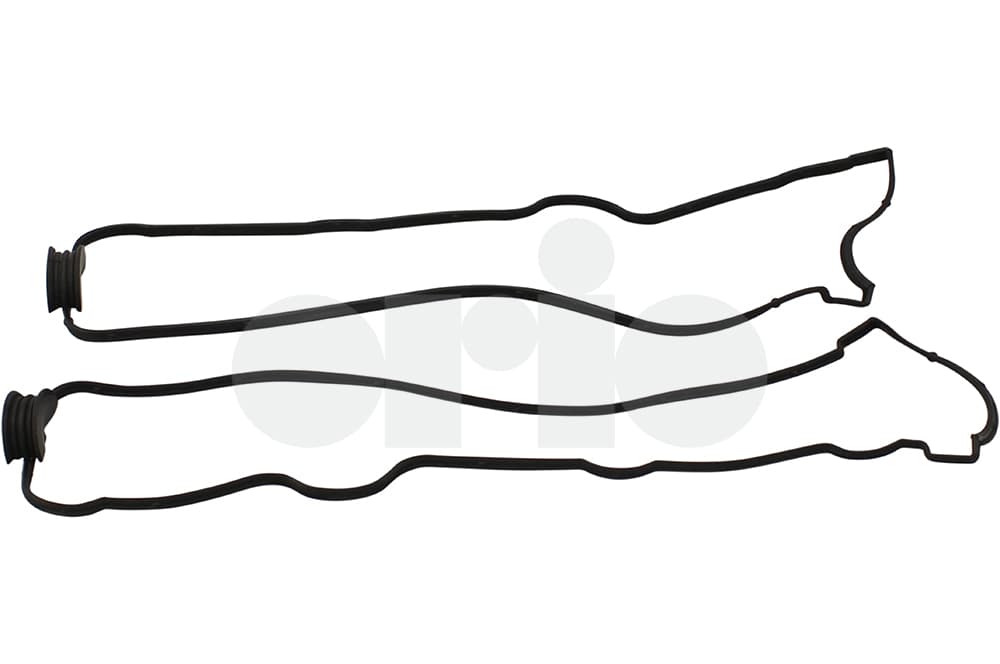 Gasket set-1