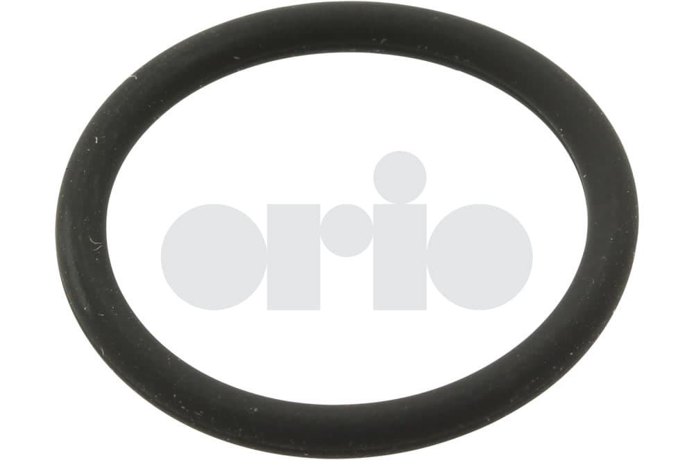 Seal ring-1