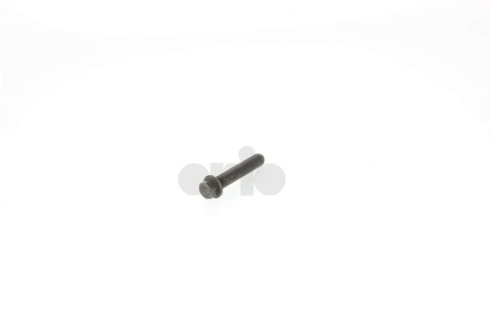 Screw-1