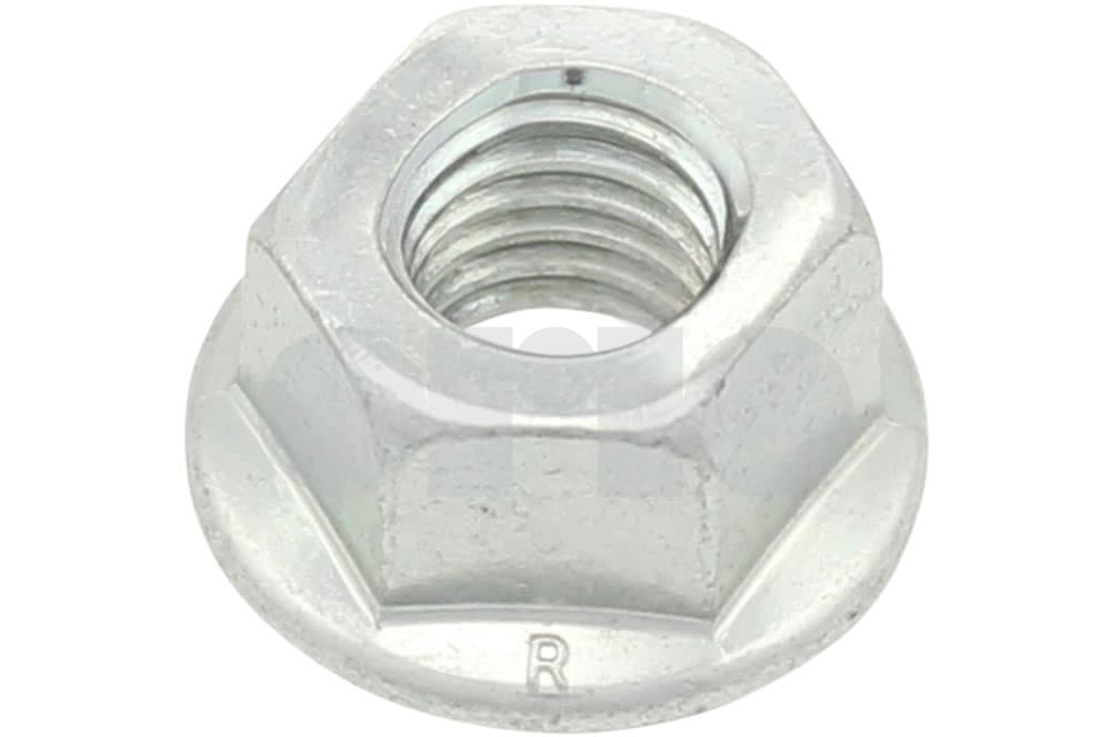 Nut-1