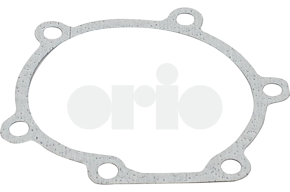 Gasket-1