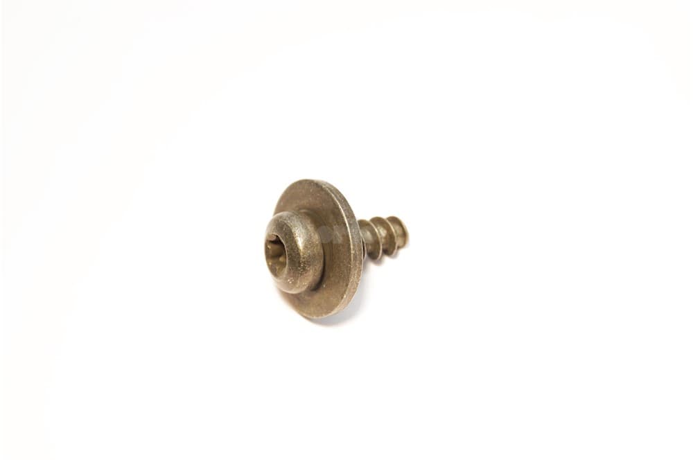 Screw-1