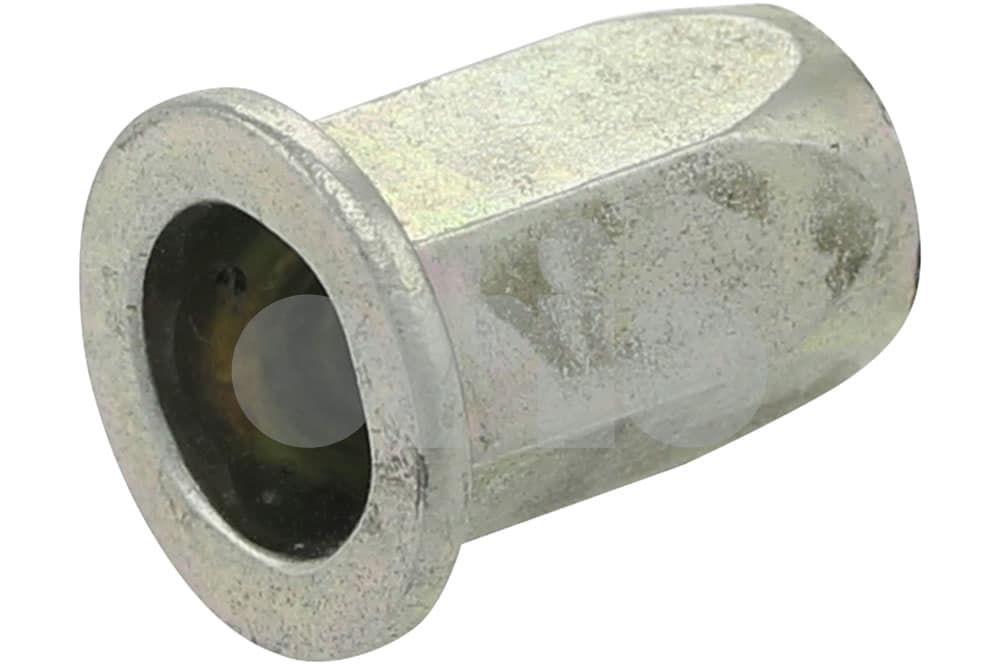 Blind rivet nut-1