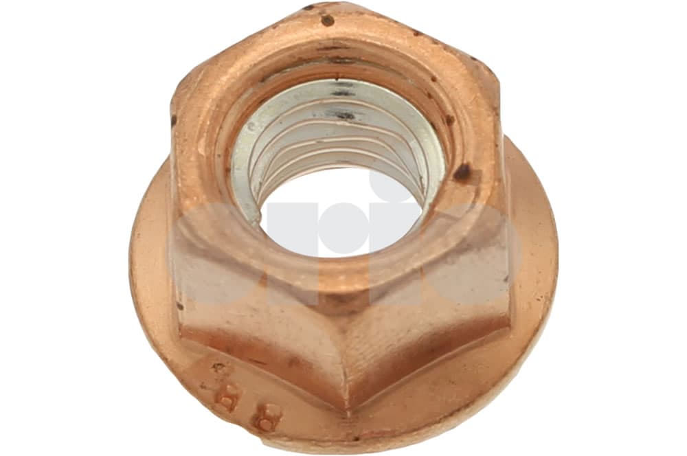 Nut-1