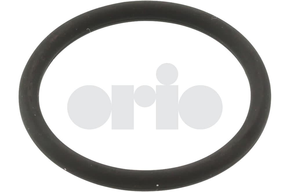 Seal ring-1
