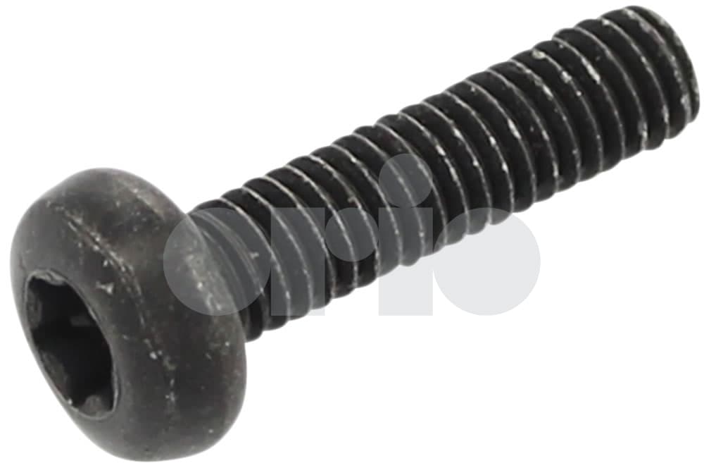 Screw-1