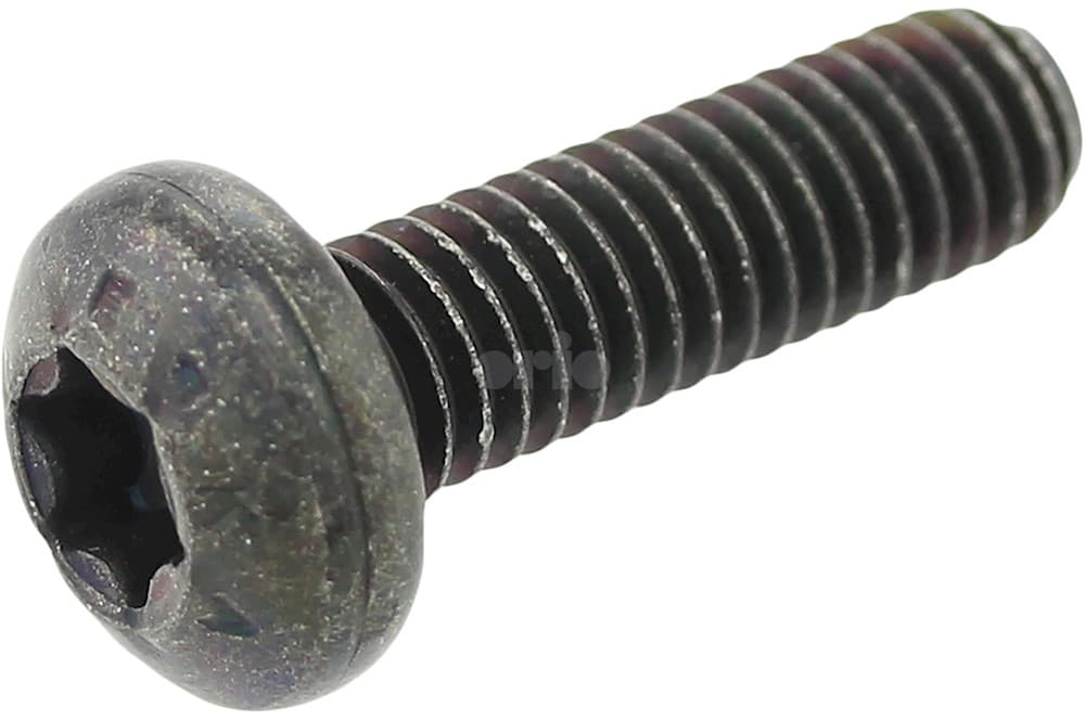 Screw-1