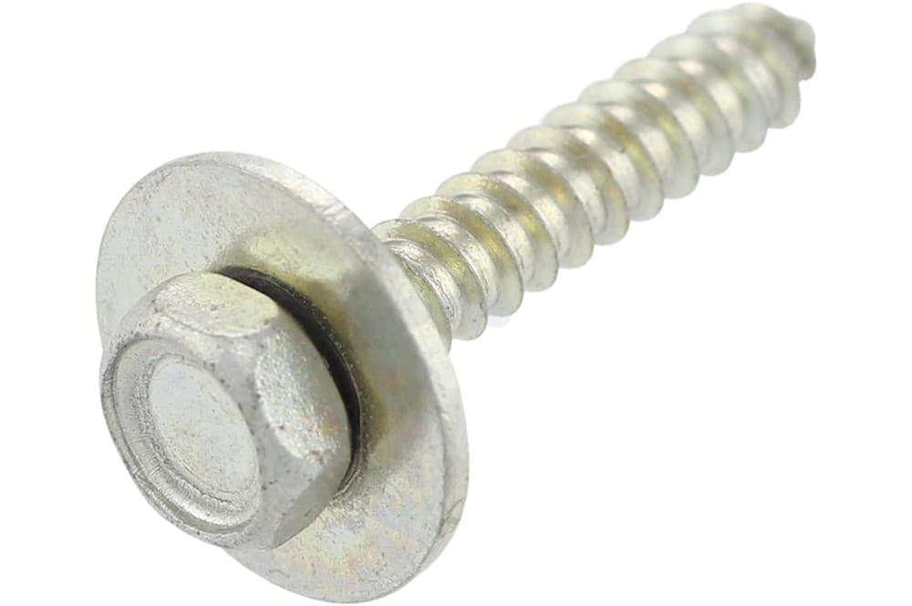 Screw-1