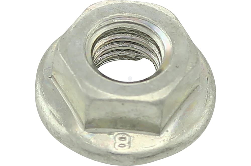 Nut-1