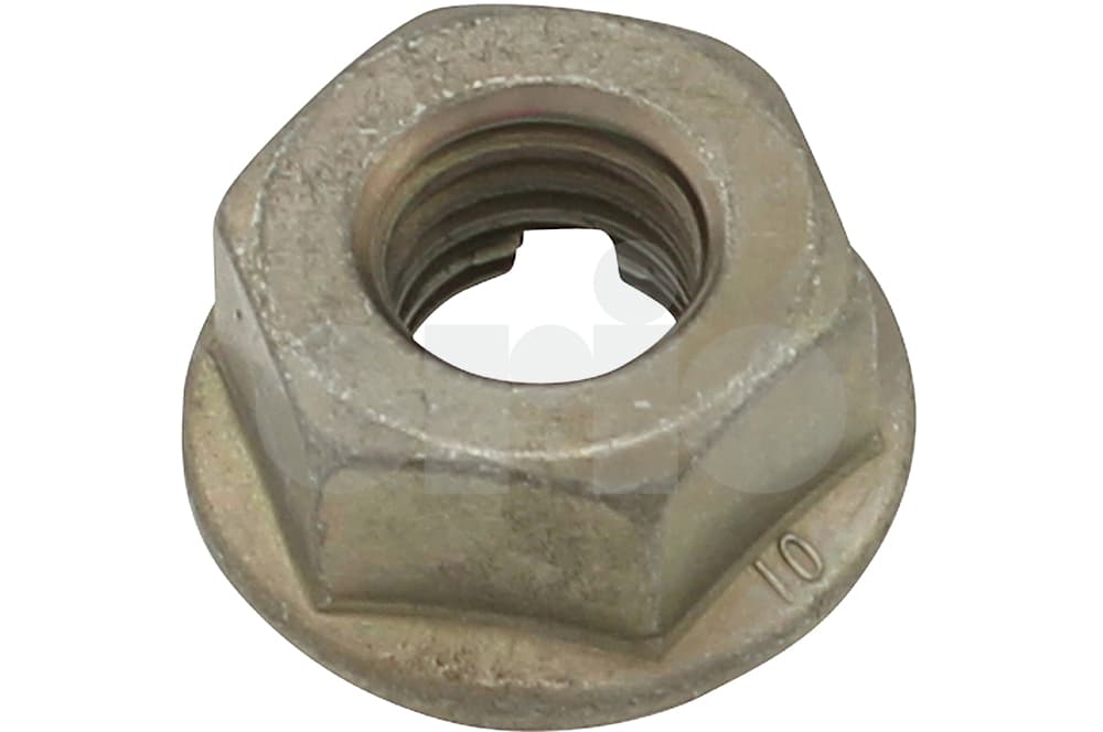 Nut-1