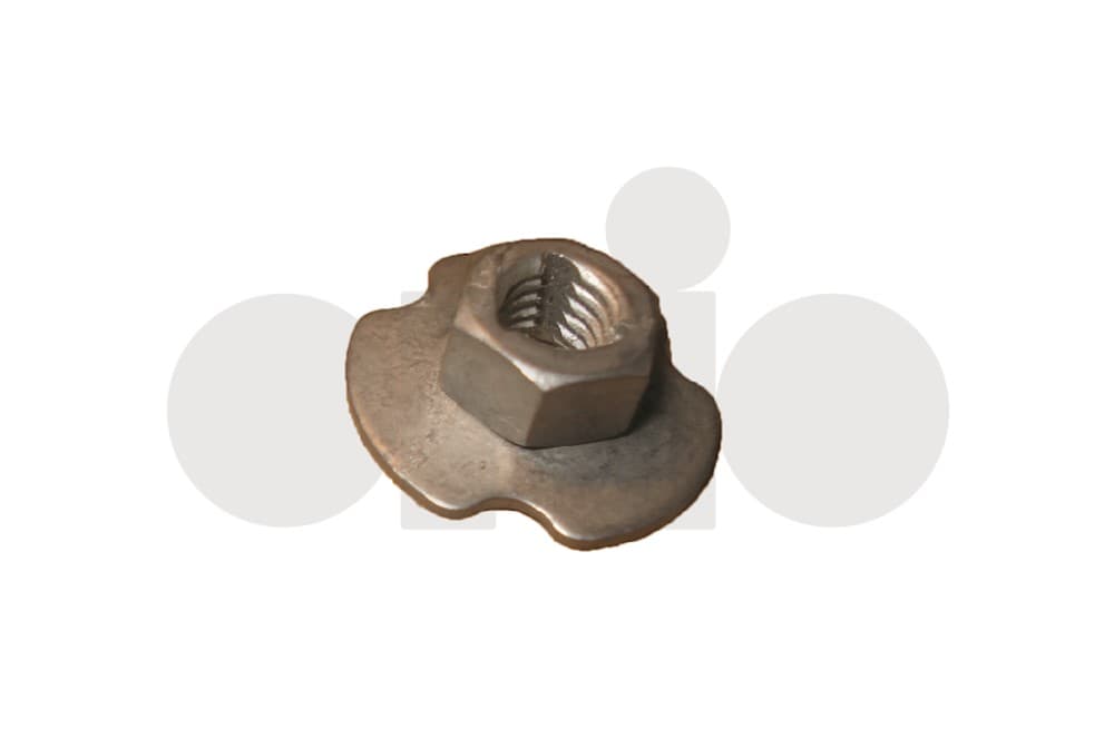 Nut-1