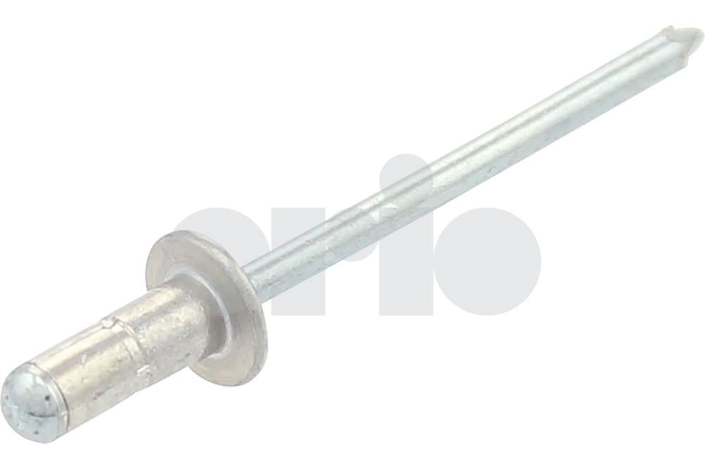Rivet-1