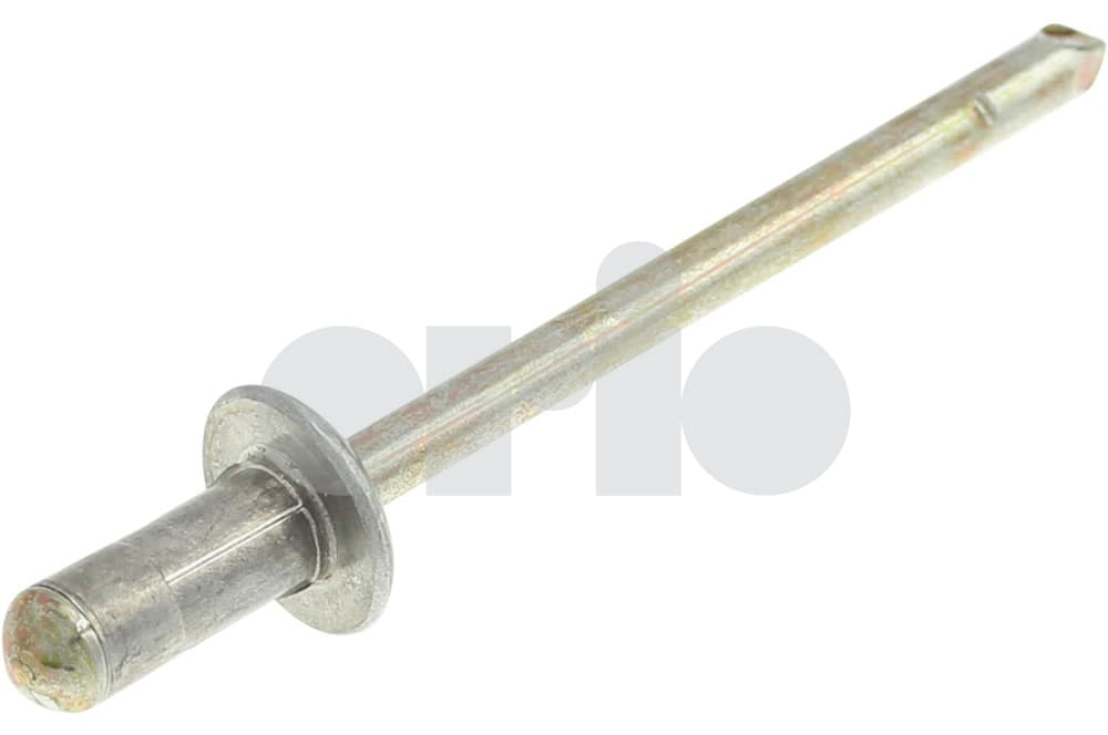 Rivet