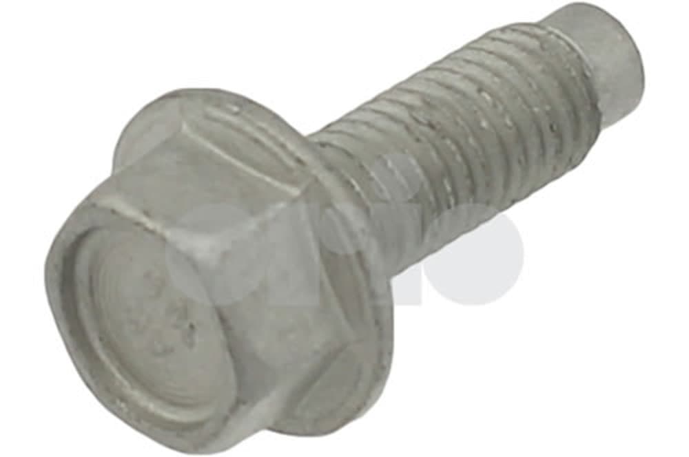 Screw