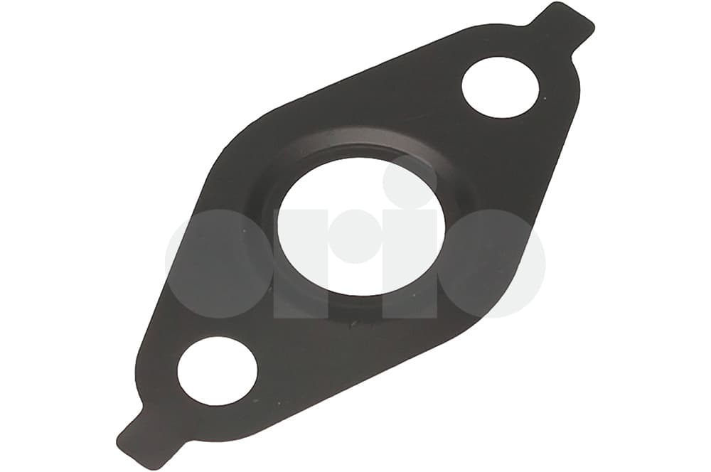 Gasket-1