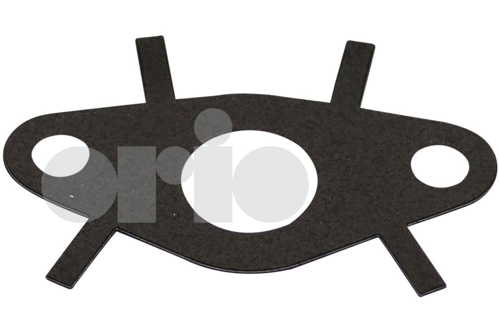 Gasket-1
