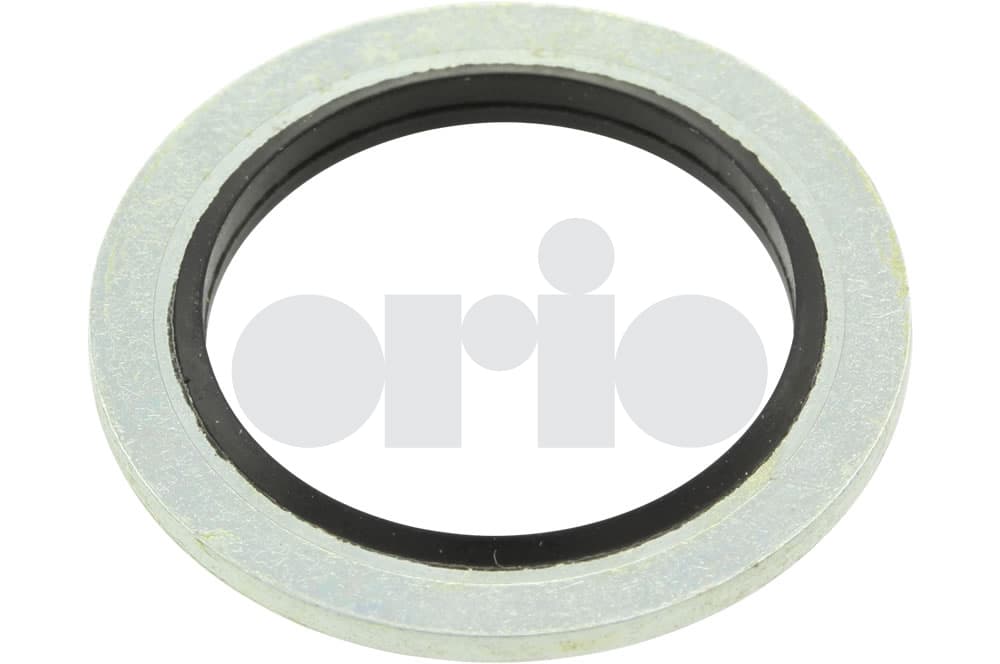 O-ring-1