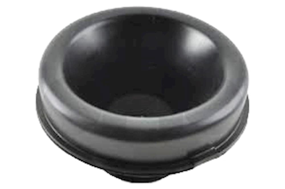 Seal-1